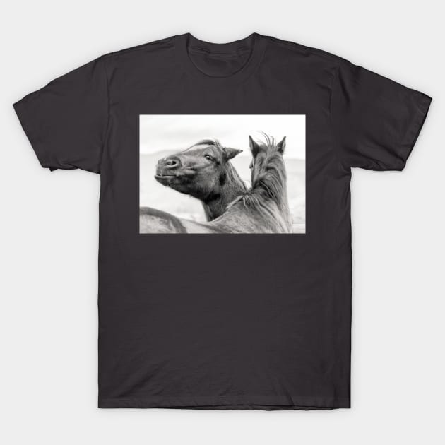 Funny Smiling Ranch Horse T-Shirt by Amy-K-Mitchell